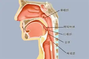 官方：Ning比分优势明显的简单介绍|BBIN电子官网